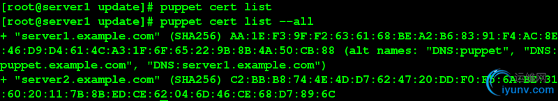 DSC0005.png