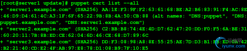 DSC0008.png