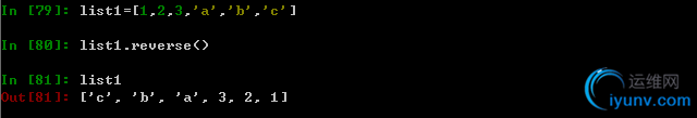 DSC00021.png