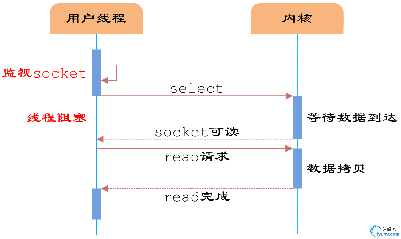 DSC0002.png