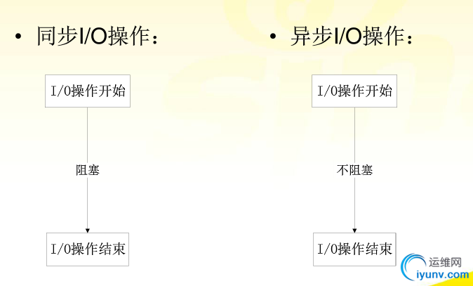 DSC0004.png