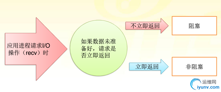 DSC0005.png
