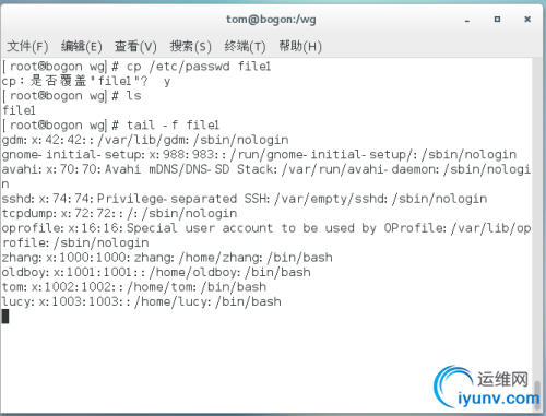 DSC00011.png