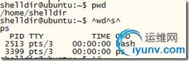 DSC0005.png