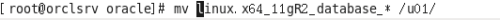 DSC00028.png