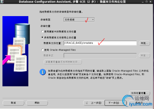 DSC00050.png