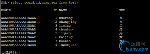 DSC00061.png