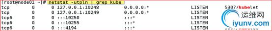 DSC00039.png