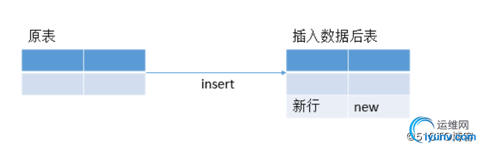 DSC0001.jpg