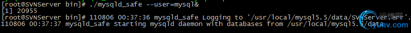 DSC0001.png