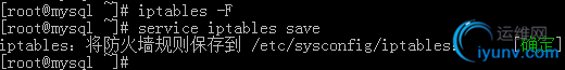 DSC00011.png