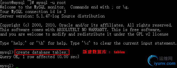 DSC00015.png