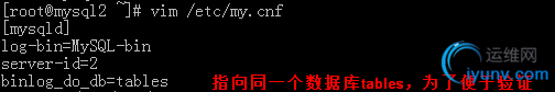 DSC00019.png
