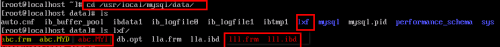 DSC00026.png