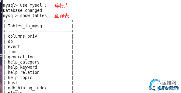 DSC00018.jpg
