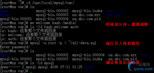DSC00027.png