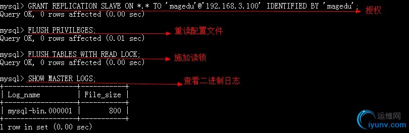 DSC00010.jpg
