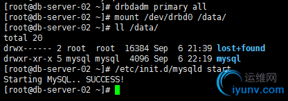 DSC00023.png