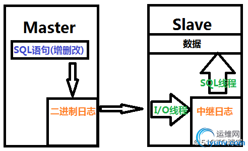 DSC0000.jpg