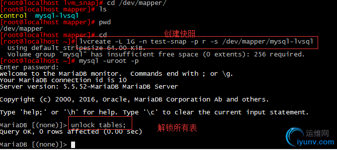 DSC00025.png