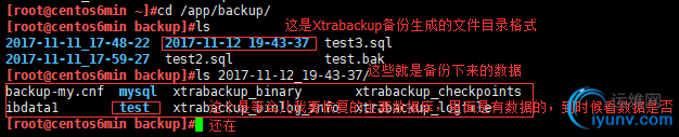 DSC0006.png