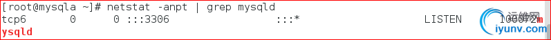 DSC00021.png