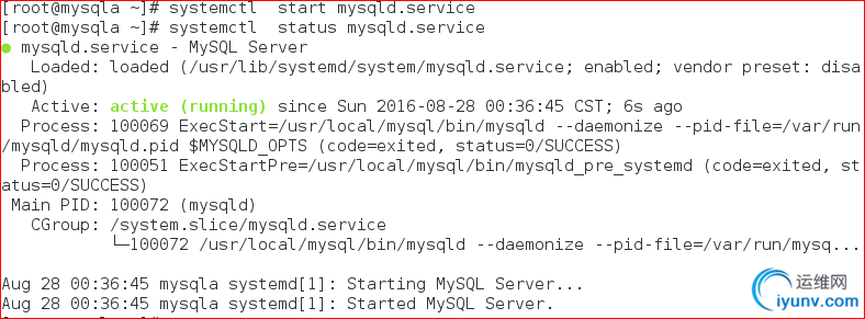 DSC00020.png