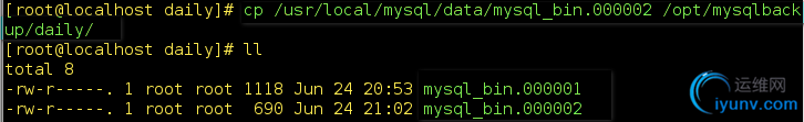 DSC00024.png