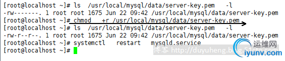 DSC0002.png