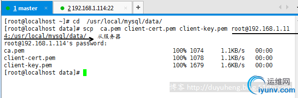 DSC00010.png