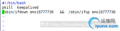 DSC00031.png