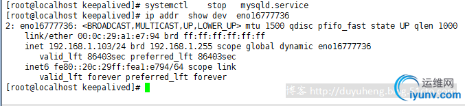 DSC00035.png