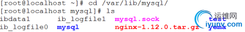 DSC0000.png