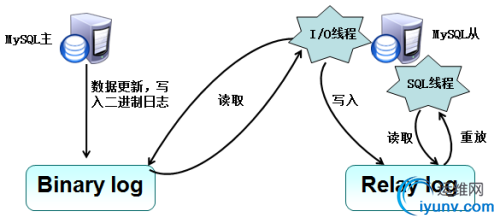 DSC0000.png