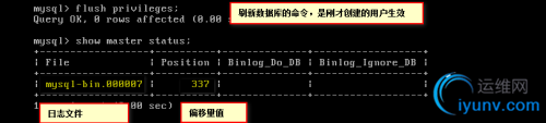 DSC00012.png