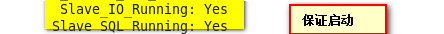 DSC00019.png
