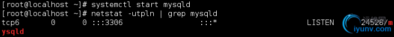 DSC00024.png