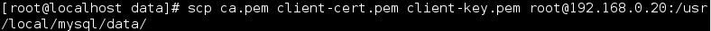 DSC00035.png