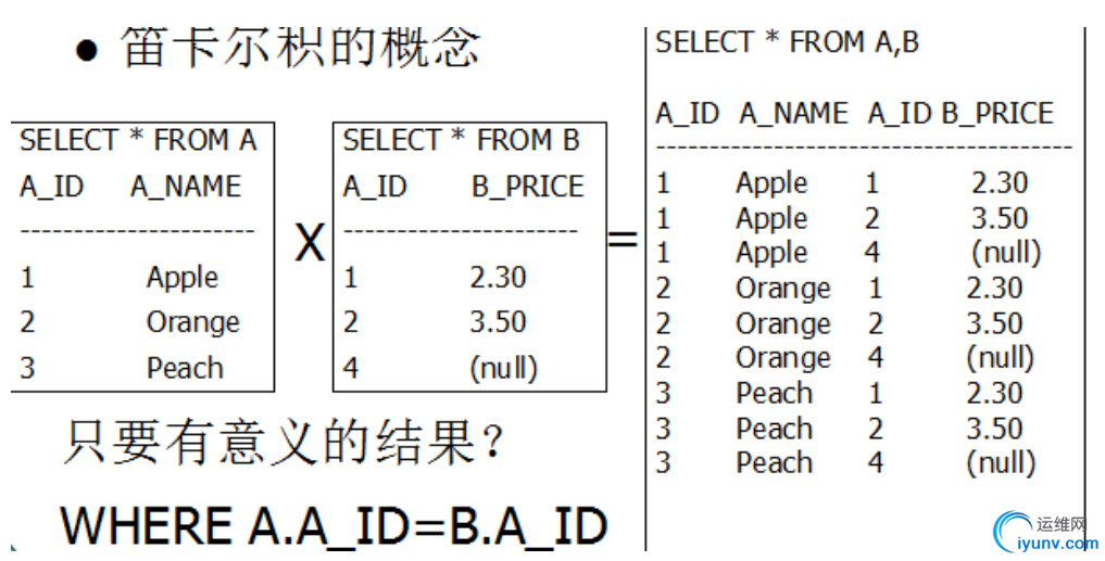 DSC0004.png