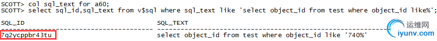 DSC0006.png