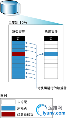 DSC0002.png
