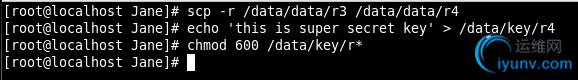 DSC00010.png