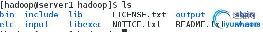 DSC0006.png