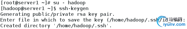DSC00012.png