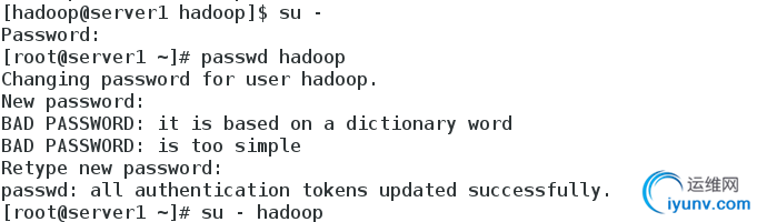 DSC00011.png