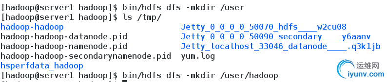 DSC00024.png
