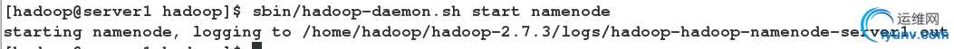 DSC00031.png