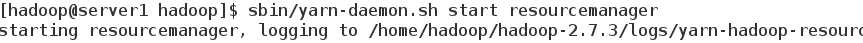 DSC00040.png