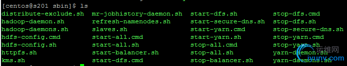 DSC0000.png