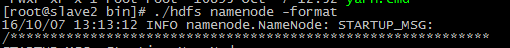 DSC00010.png